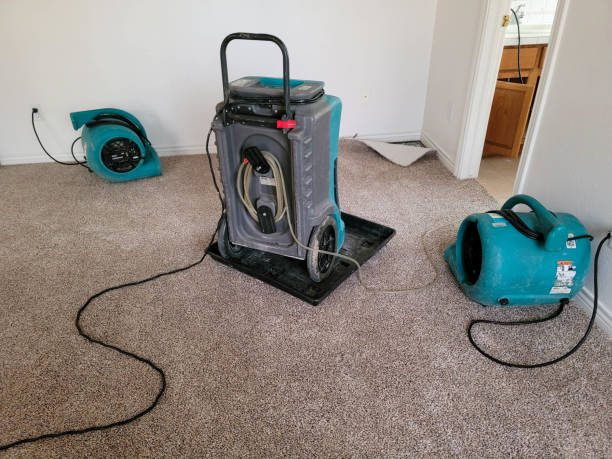 Water damage restoration mold remediation in Reidville, SC